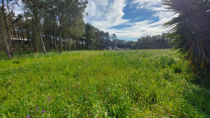 Image No.9-Terrain à vendre à Pombal