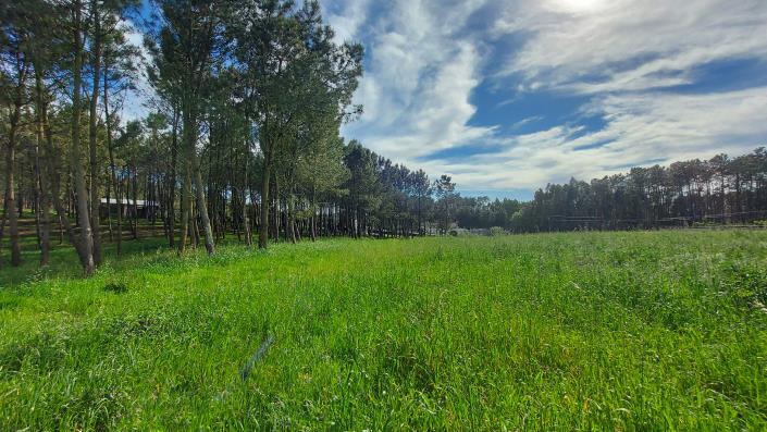 Image No.11-Terrain à vendre à Pombal