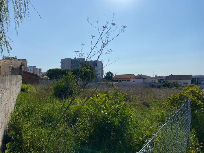 Image No.6-Terre de 3 chambres à vendre à Caldas da Rainha