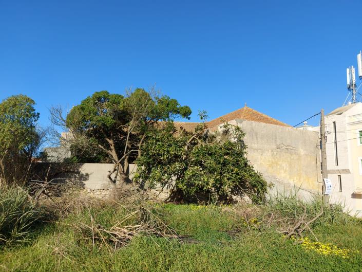 Image No.4-Maison à vendre à Peniche