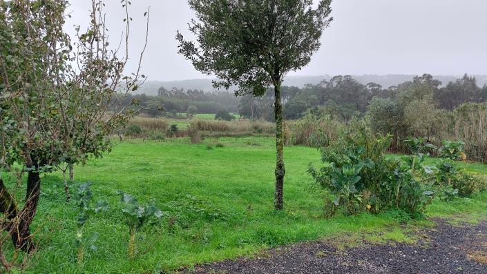 Image No.6-Ferme de 3 chambres à vendre à Caldas da Rainha