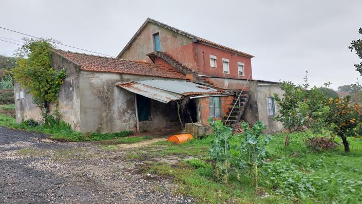 Image No.7-Ferme de 3 chambres à vendre à Caldas da Rainha