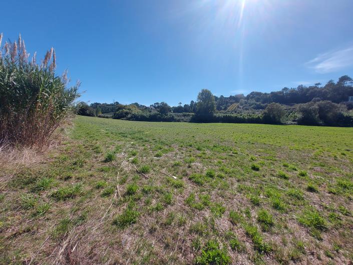 Image No.6-Land for sale