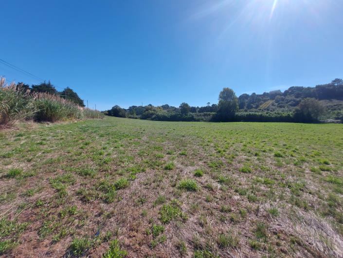 Image No.2-Land for sale