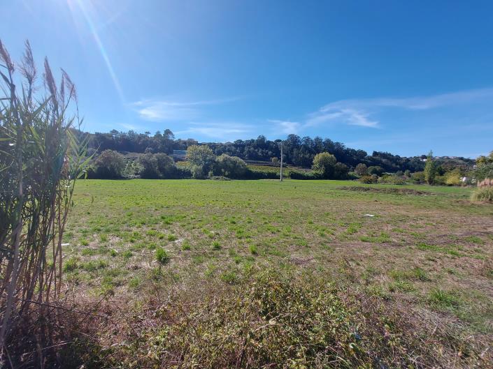 Image No.7-Land for sale