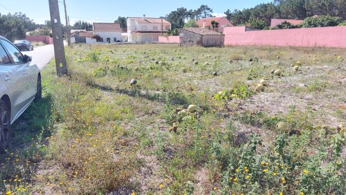 Image No.9-Terre à vendre à Caldas da Rainha