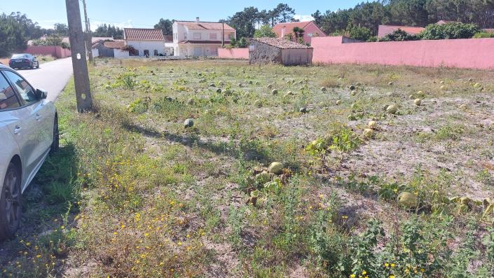 Image No.11-Terre à vendre à Caldas da Rainha