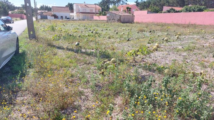 Image No.12-Terre à vendre à Caldas da Rainha