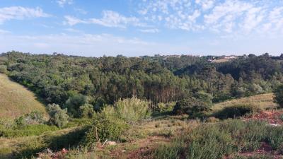 vistas-maio-23--6-