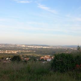 foto---10-