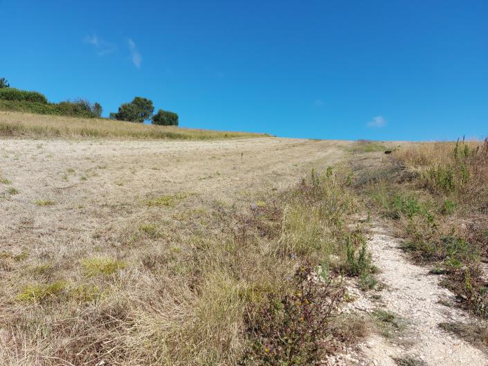 Image No.13-Land for sale