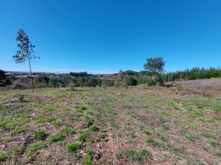 Image No.2-Land for sale