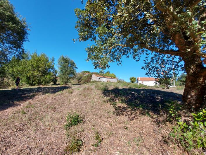 Image No.1-Country Property for sale