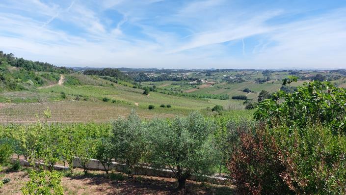 Image No.1-Land for sale