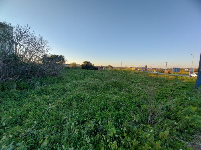 Image No.4-Land for sale