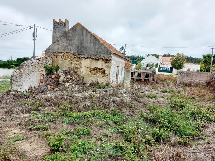 Image No.9-Terre à vendre à Caldas da Rainha