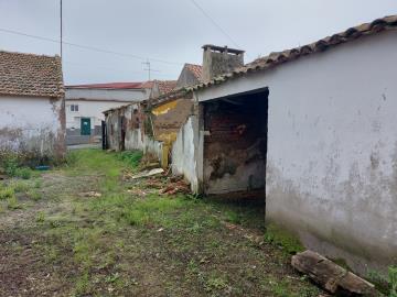 _20231117_113342