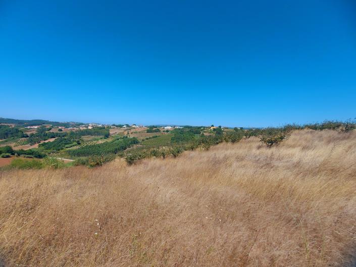 Image No.2-Terre à vendre à Caldas da Rainha