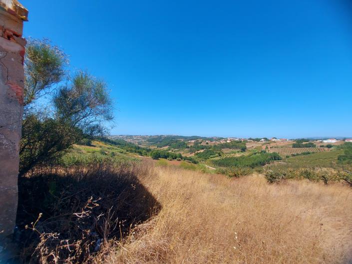 Image No.3-Terre à vendre à Caldas da Rainha