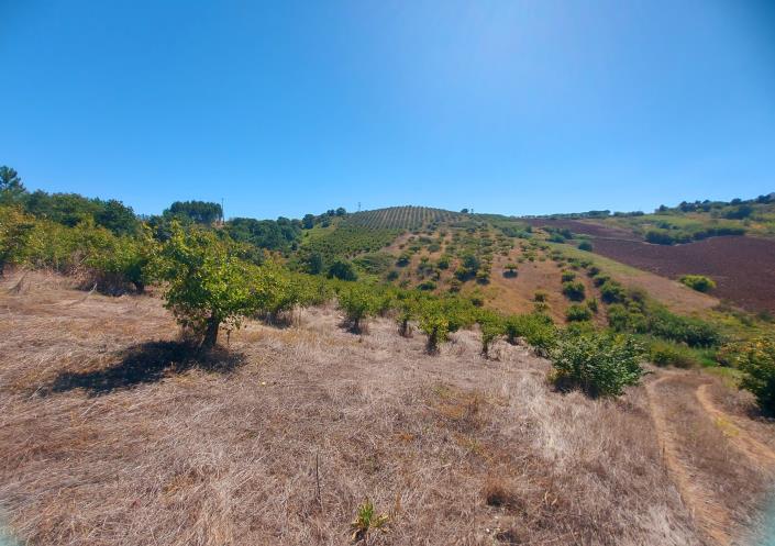 Image No.4-Terre à vendre à Caldas da Rainha