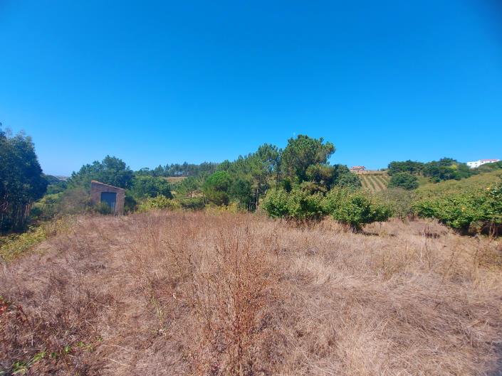 Image No.6-Terre à vendre à Caldas da Rainha