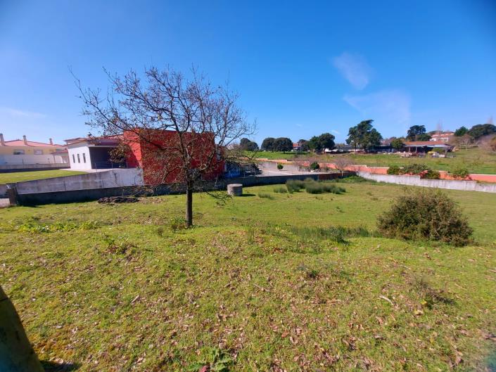 Image No.3-Terrain à vendre à Caldas da Rainha
