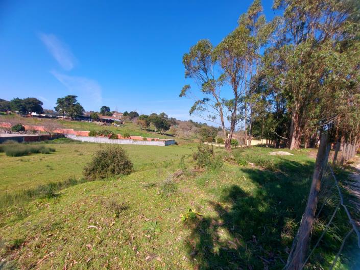 Image No.2-Terrain à vendre à Caldas da Rainha