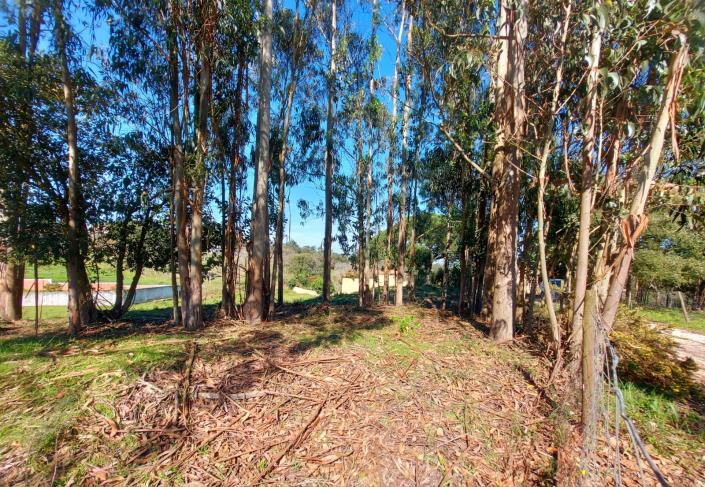 Image No.4-Terrain à vendre à Caldas da Rainha