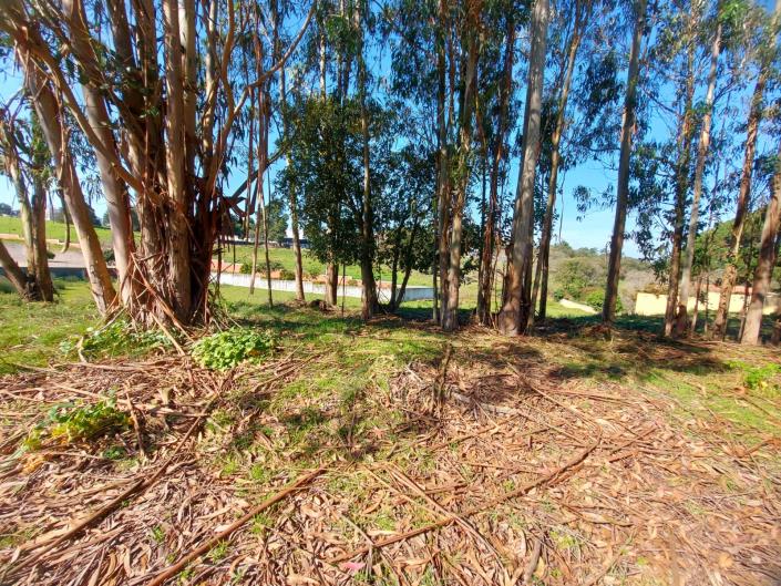 Image No.5-Terrain à vendre à Caldas da Rainha