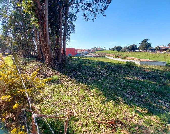 Image No.6-Terrain à vendre à Caldas da Rainha