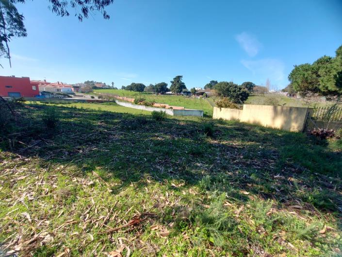 Image No.7-Terrain à vendre à Caldas da Rainha