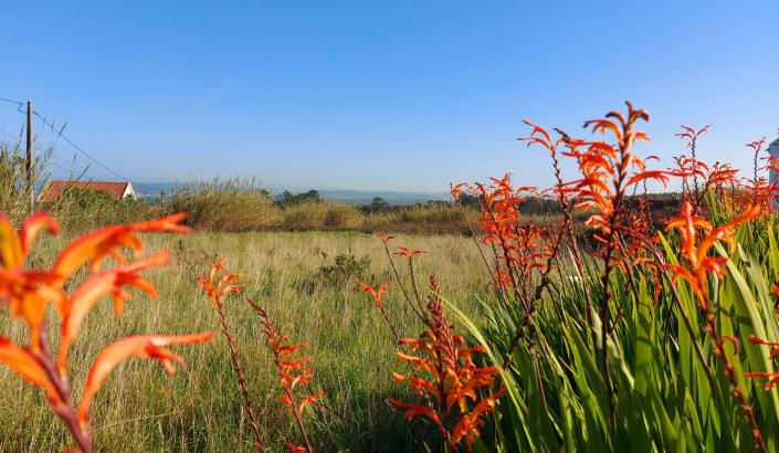 Image No.24-3 Bed Villa for sale