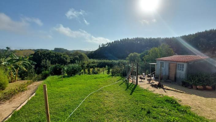 Image No.9-Maison de 3 chambres à vendre à Caldas da Rainha