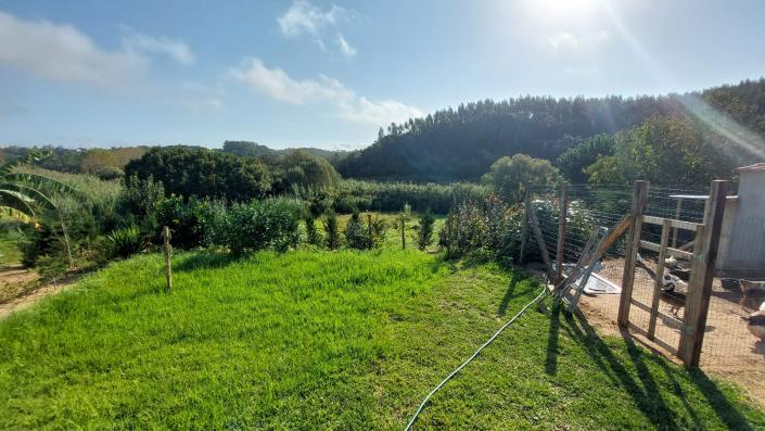 Image No.3-Maison de 3 chambres à vendre à Caldas da Rainha