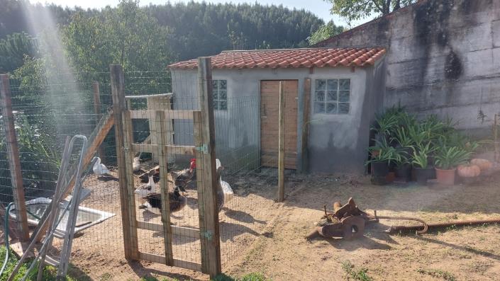 Image No.11-Maison de 3 chambres à vendre à Caldas da Rainha