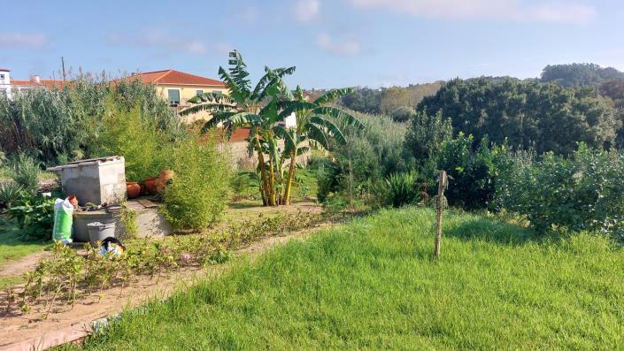 Image No.10-Maison de 3 chambres à vendre à Caldas da Rainha