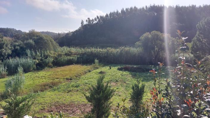 Image No.13-Maison de 3 chambres à vendre à Caldas da Rainha