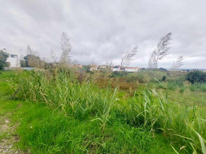 Image No.11-Land for sale