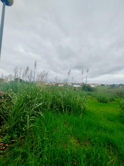 Image No.18-Land for sale