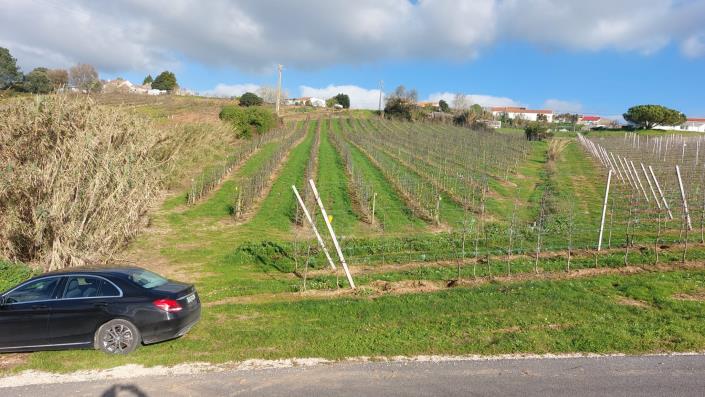 Image No.6-Terre à vendre à Caldas da Rainha