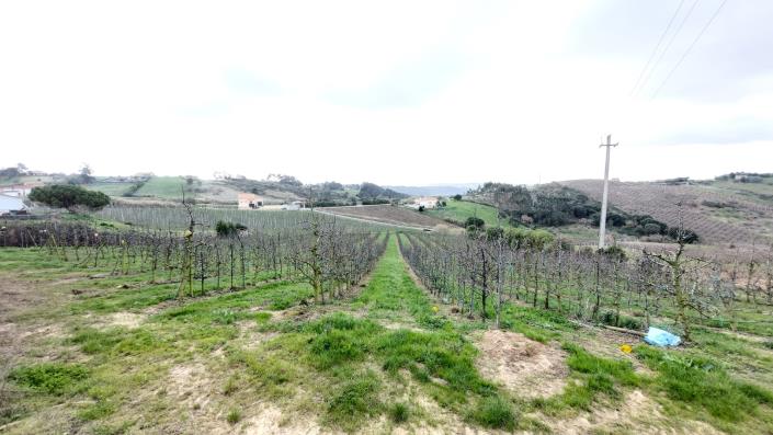 Image No.9-Terre à vendre à Caldas da Rainha