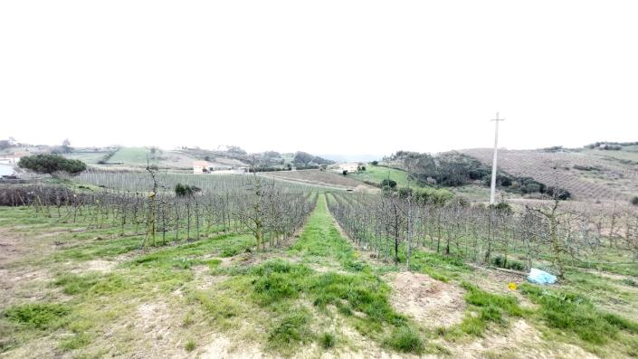 Image No.10-Terre à vendre à Caldas da Rainha