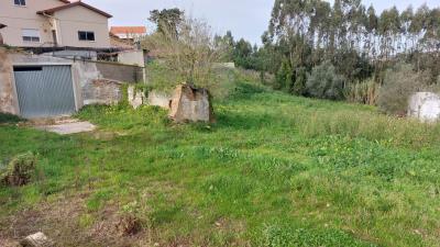 foto25002--1-