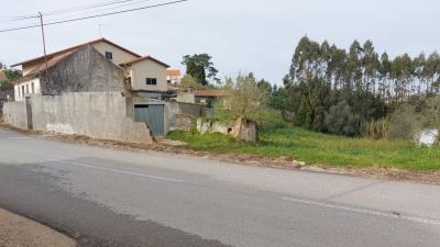 foto25002--5-