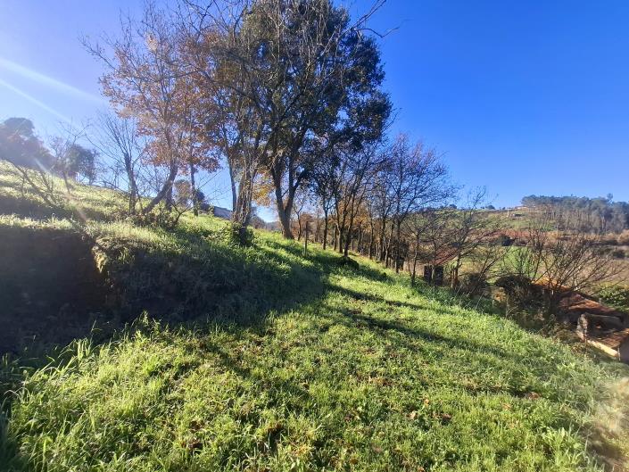 Image No.15-3 Bed Property for sale