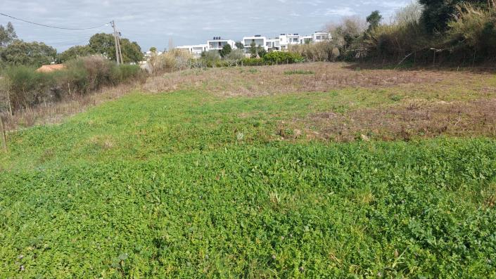 Image No.3-Plot for sale