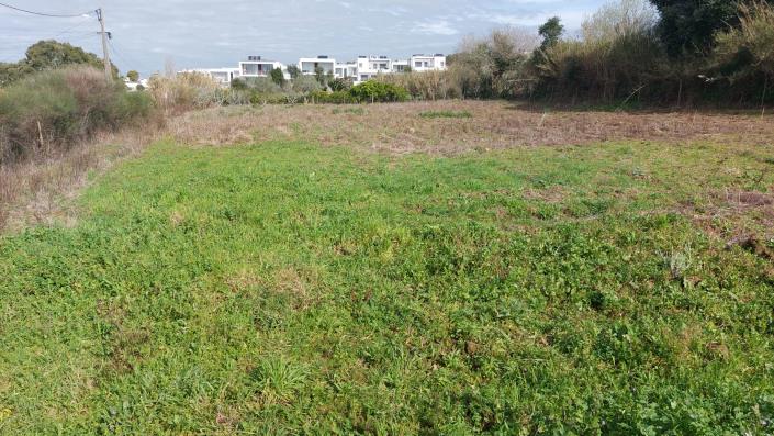 Image No.5-Plot for sale