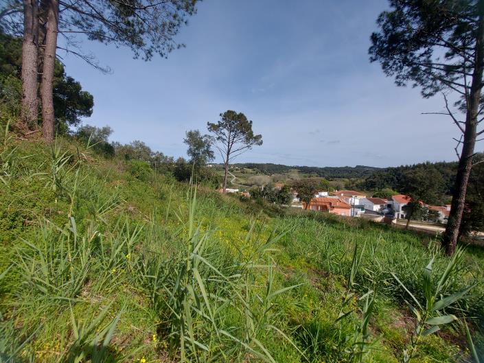 Image No.4-Terrain à vendre à Caldas da Rainha