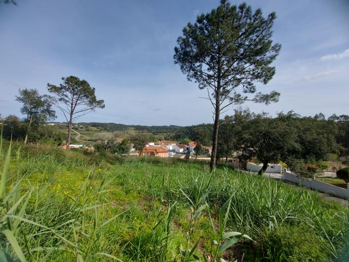 Image No.5-Terrain à vendre à Caldas da Rainha