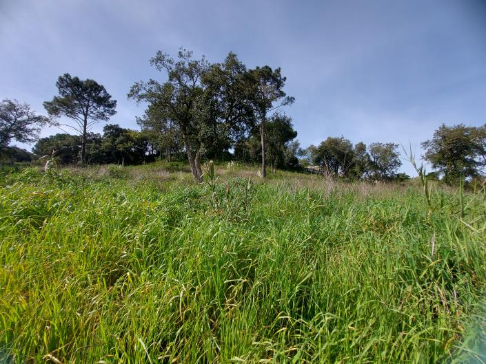 Image No.1-Land for sale